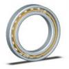 axial dynamic load capacity: Kaydon Bearings KG110XP0 Four-Point Contact Bearings #1 small image